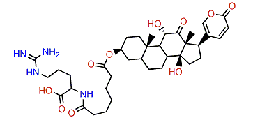 3-(N-Pimeloyl argininyl)-arenobufagin